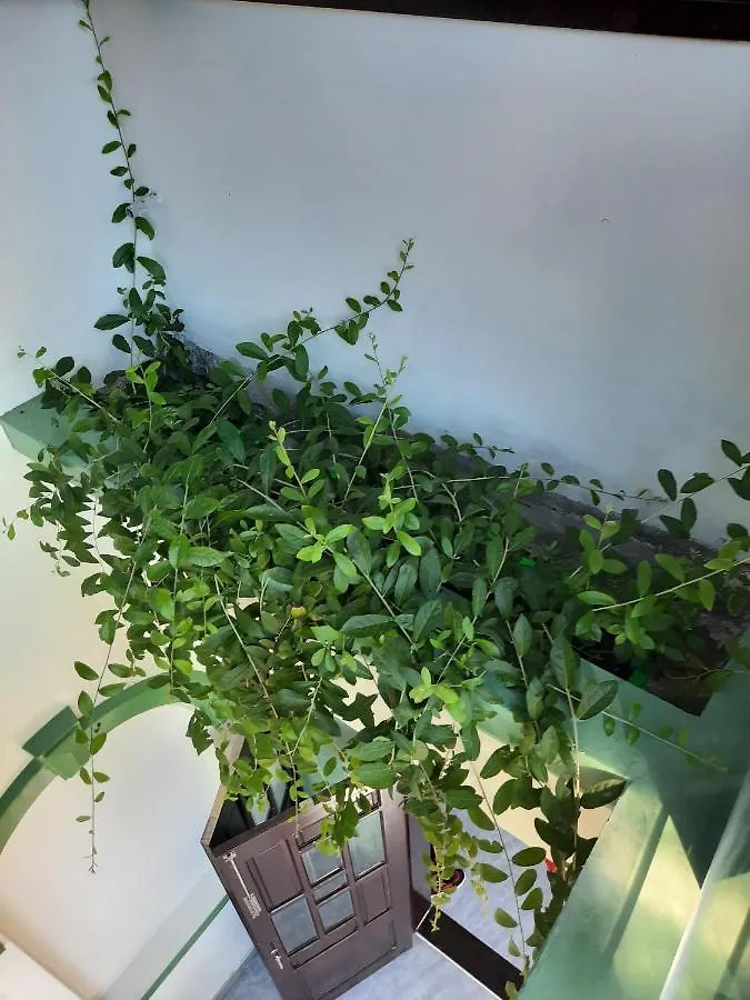 Gia Thanh Homestay Хойан 0*,