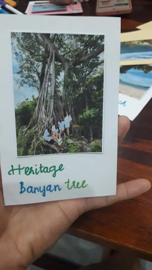 Gia Thanh Homestay Хойан
